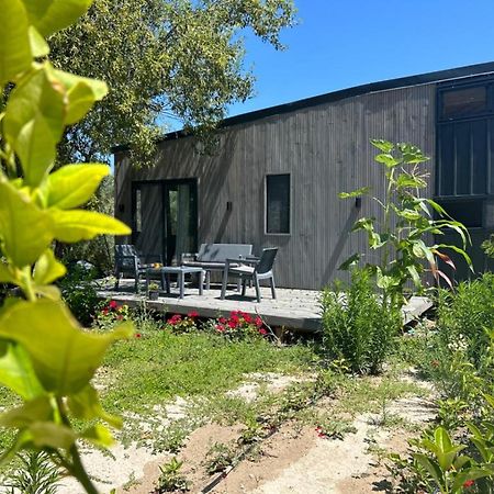 Tiny House Framed By Nature Near Sea In Karaburun Esmirna Exterior foto